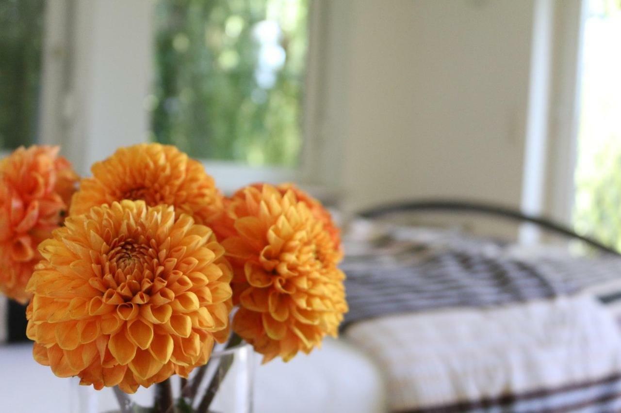 Ferienwohnung Amperblick פירסטנפלדברוק מראה חיצוני תמונה